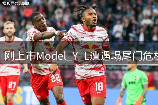 刚上市Model Y L遭遇"塌尾门"危机 车主集体维权